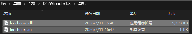 副机文件夹中的两个 LeechCore 文件