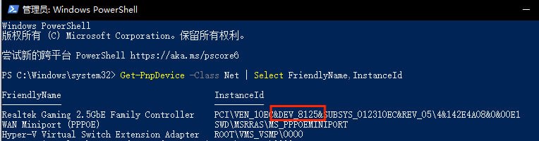 Windows 中查看 RTL8125 硬件 ID 的示例